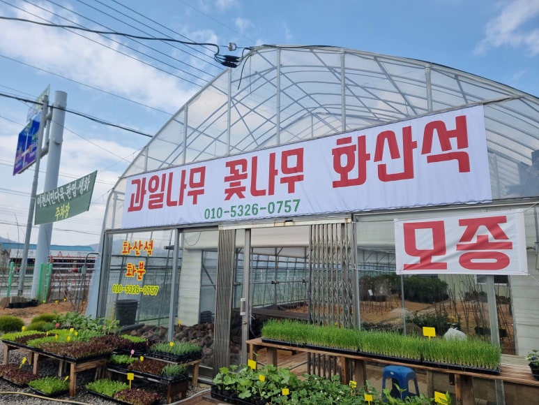 전원다육 이미지