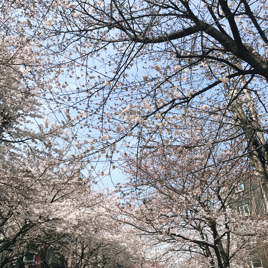 육회란 연어다 홍대,서교점 이미지