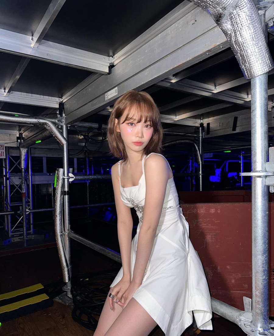 채원디자인 이미지