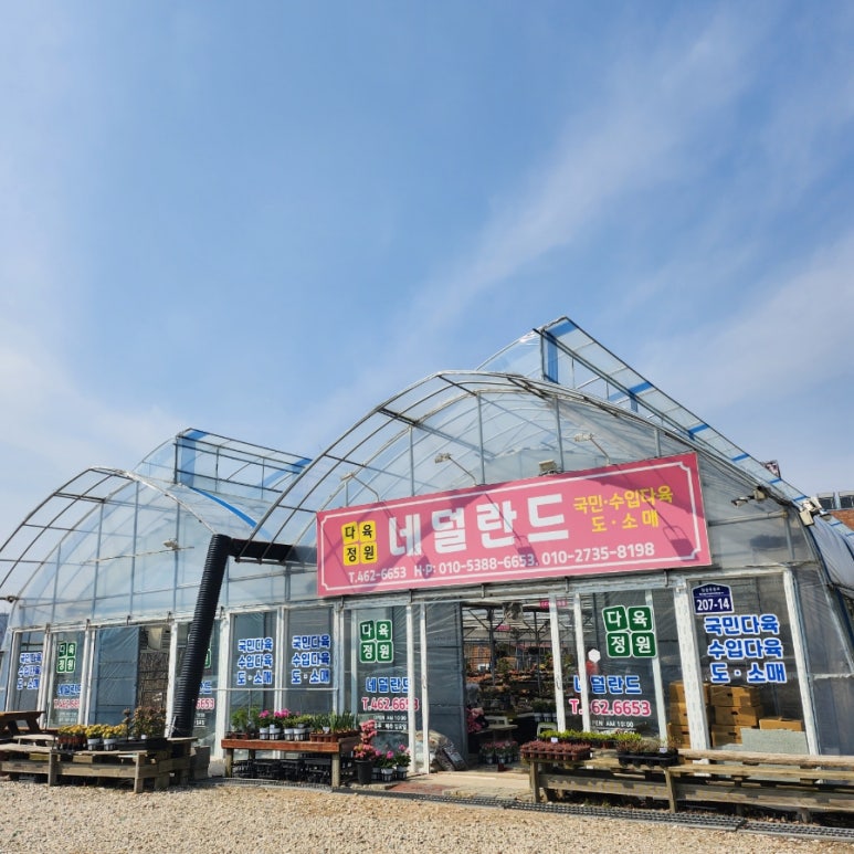 다육정원네덜란드 이미지