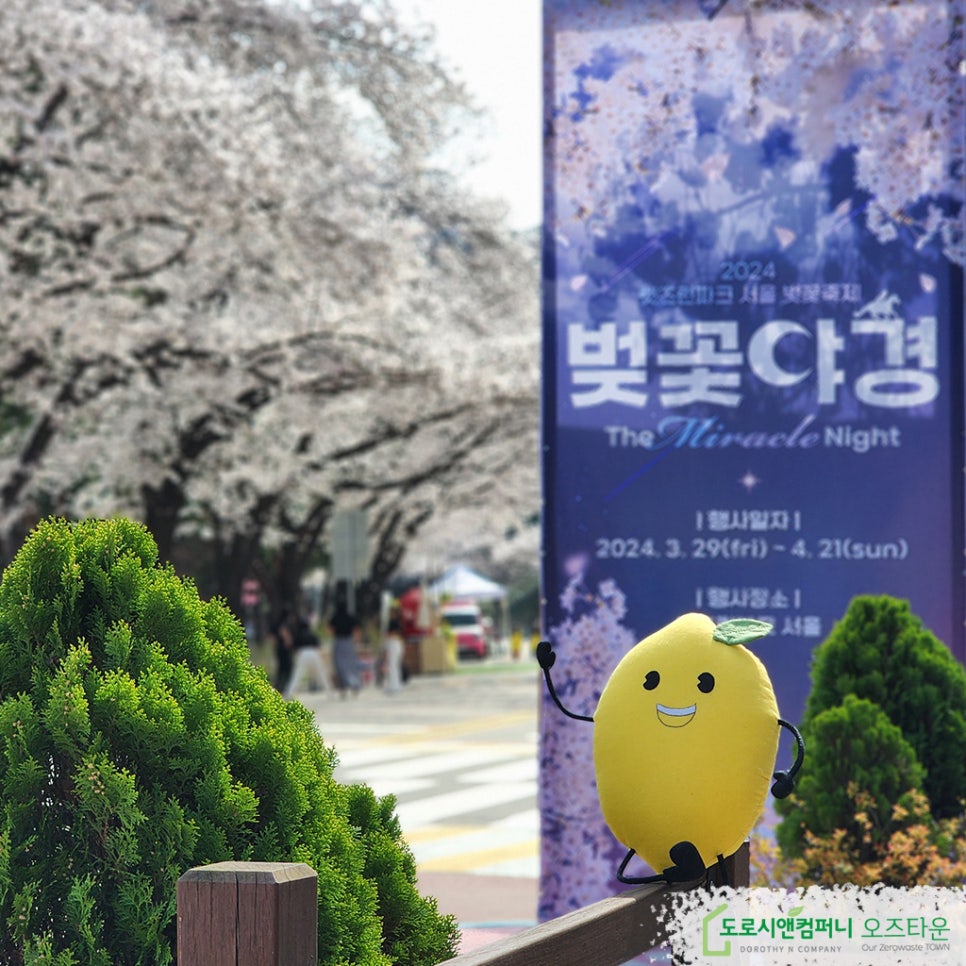 도로시앤컴퍼니 이미지
