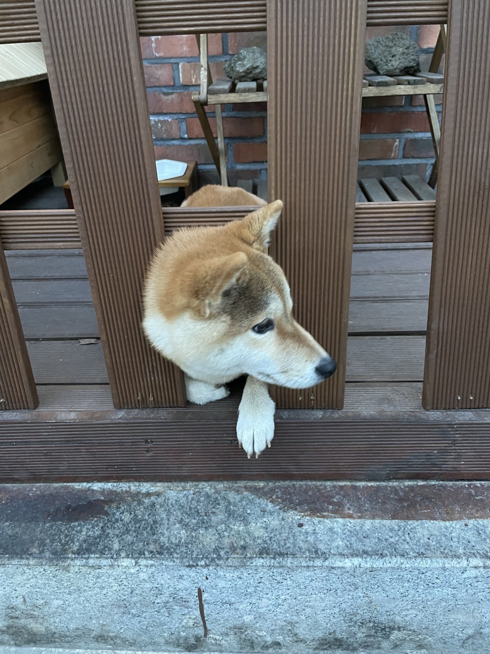 탭씨 이미지