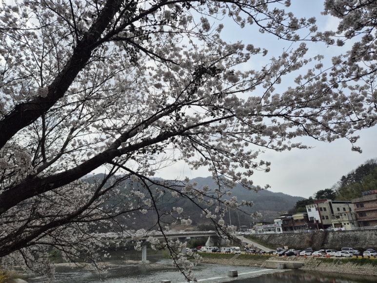 별곰캠핑힐 이미지