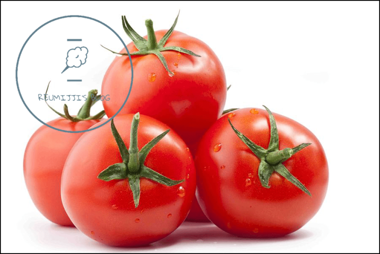 토마토푸드 이미지
