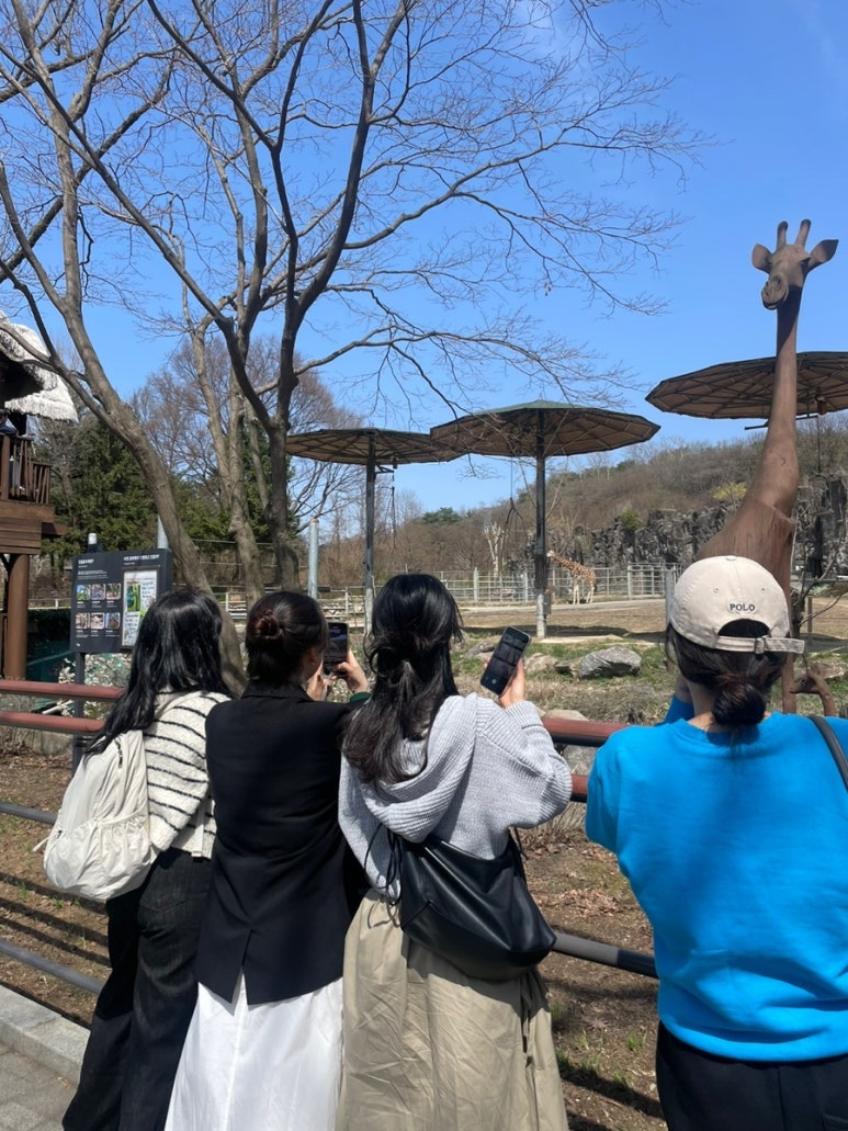 벚꽃포장마차 이미지