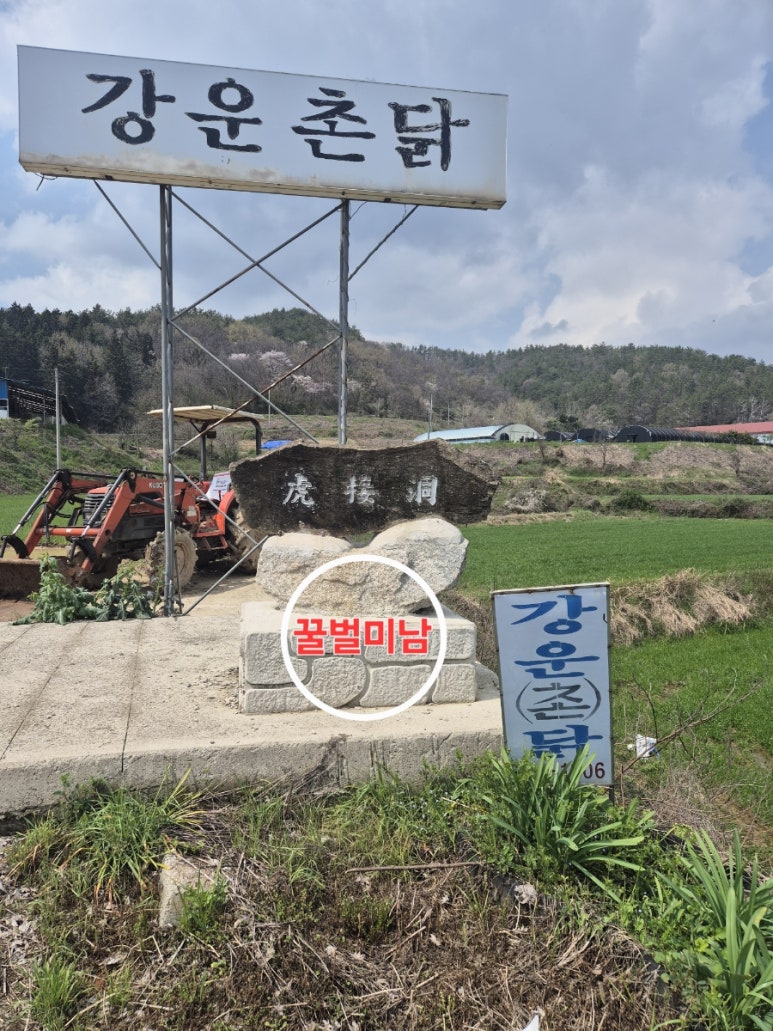 강운식당 이미지