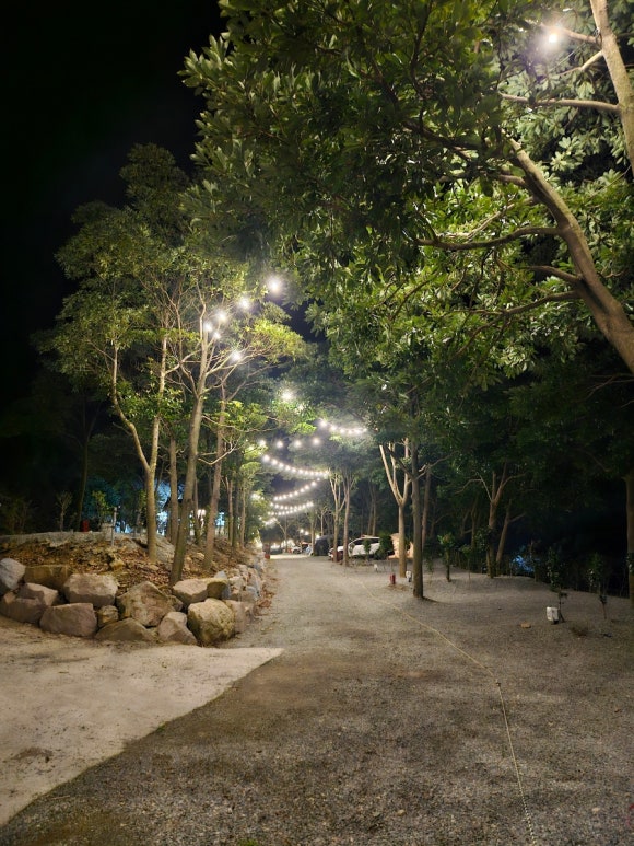 진도카멜리아힐즈오토캠핑장 이미지