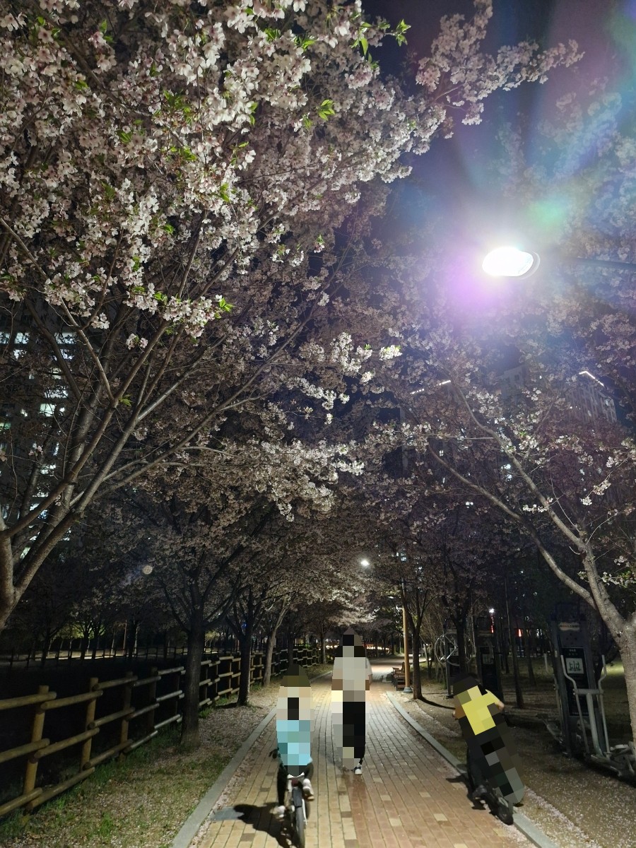 삼거리회수산 이미지