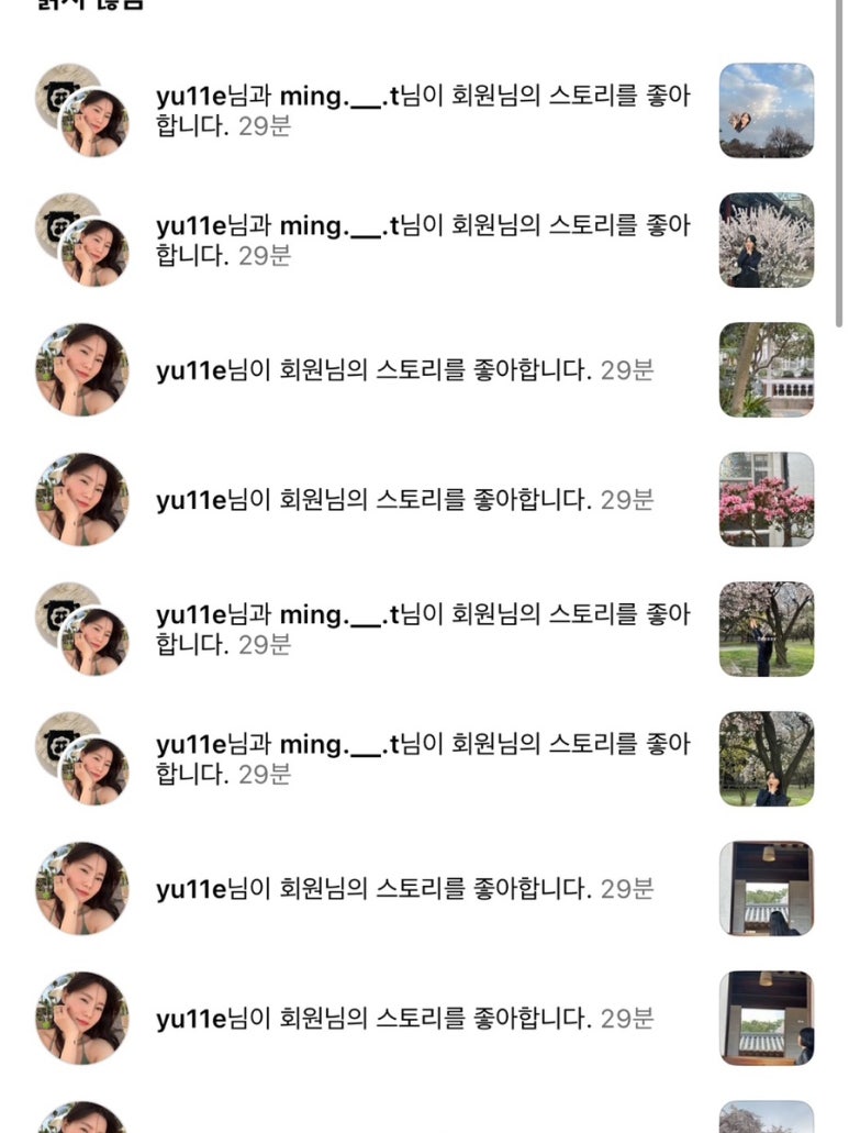 보경베이커리 이미지