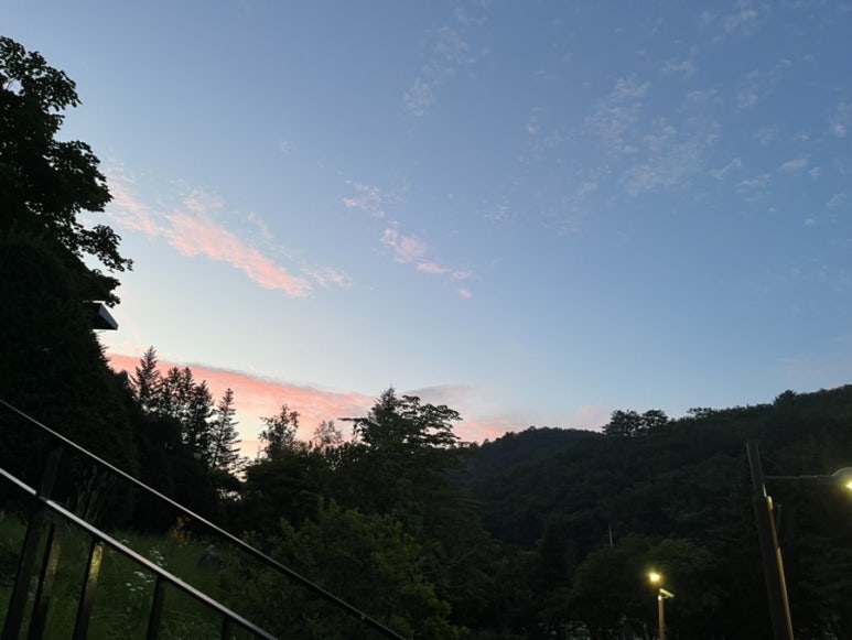 대관령농산물판매 이미지