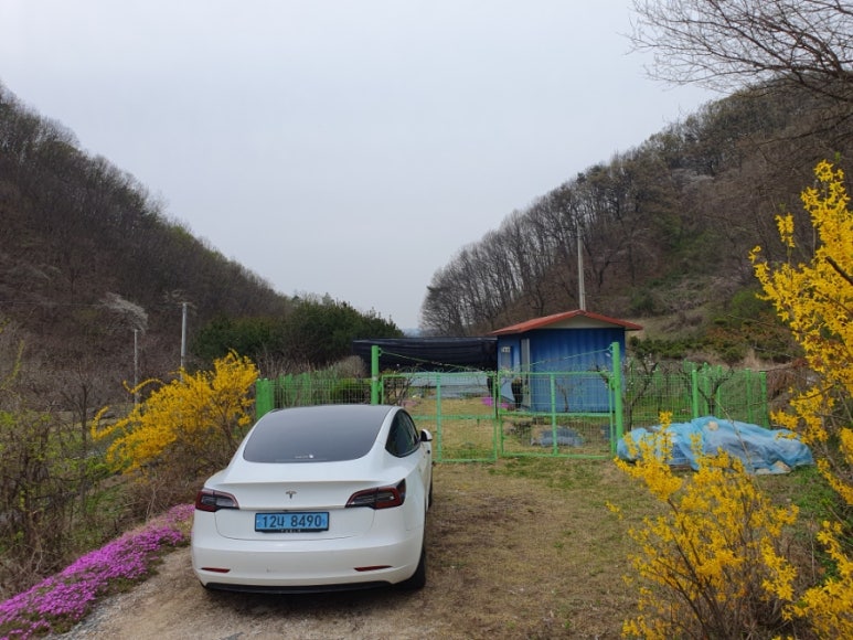금동농장 이미지
