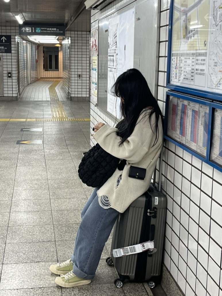 나베조 이미지