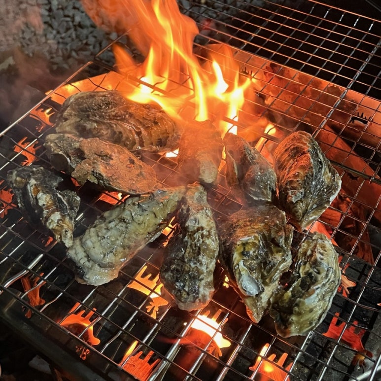 의령 거장산 오토캠핑 이미지