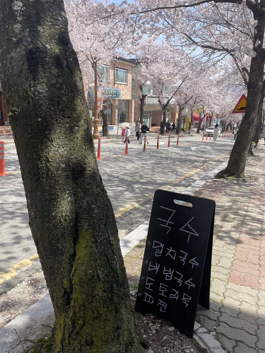 담양현재국수모악점 이미지