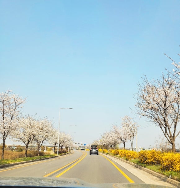 아라다방 이미지