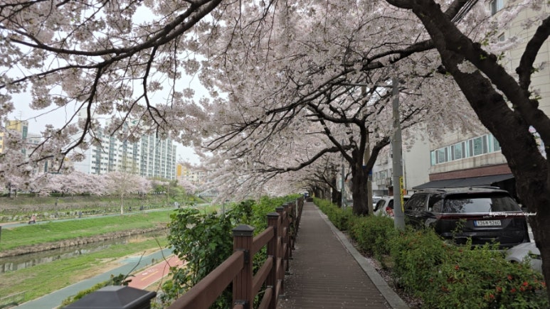 빠닷(Padat) 이미지