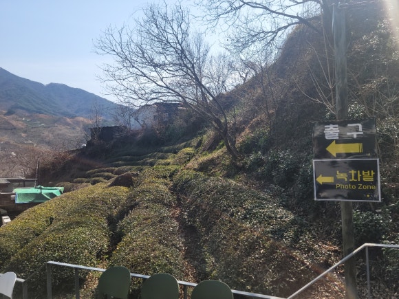 인더하동 이미지