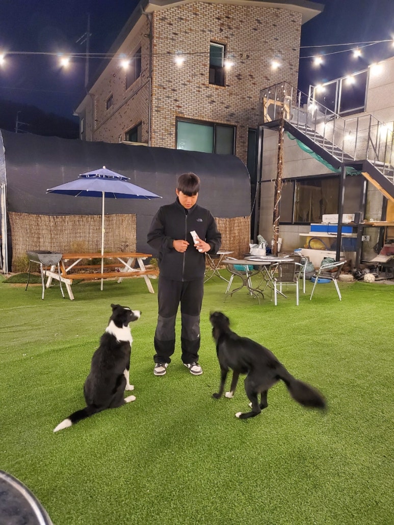 꾸어구어 이미지