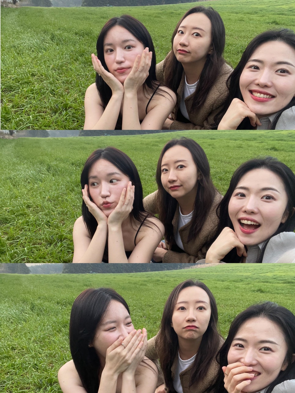 봄:하루 이미지