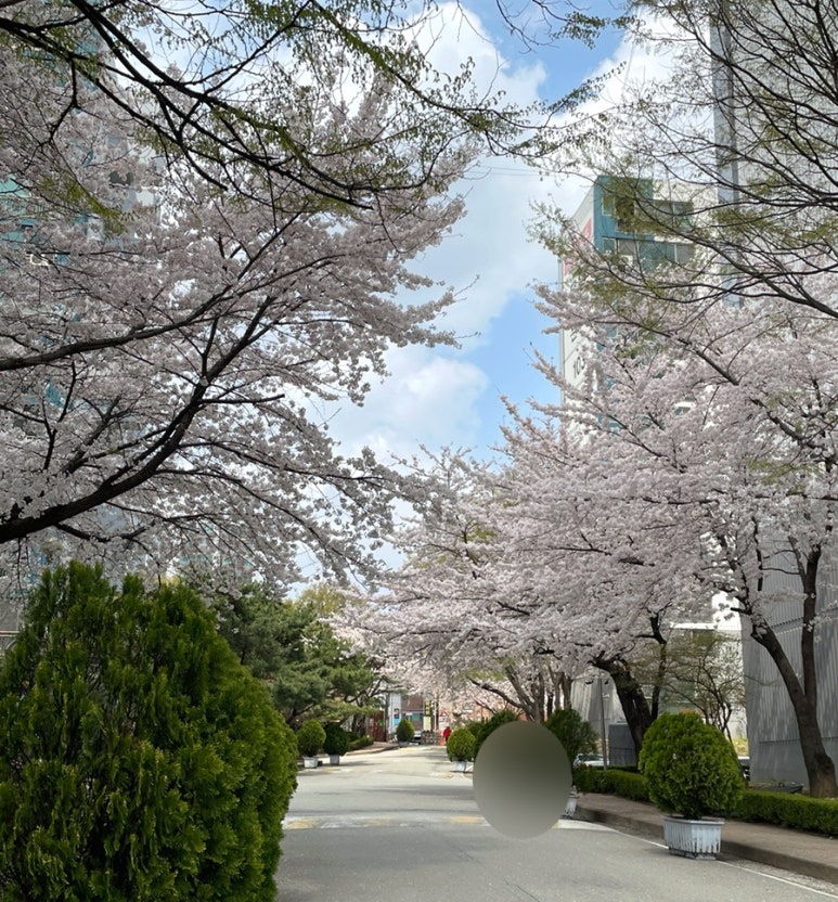 이화수전통육개장(평택시청점) 이미지