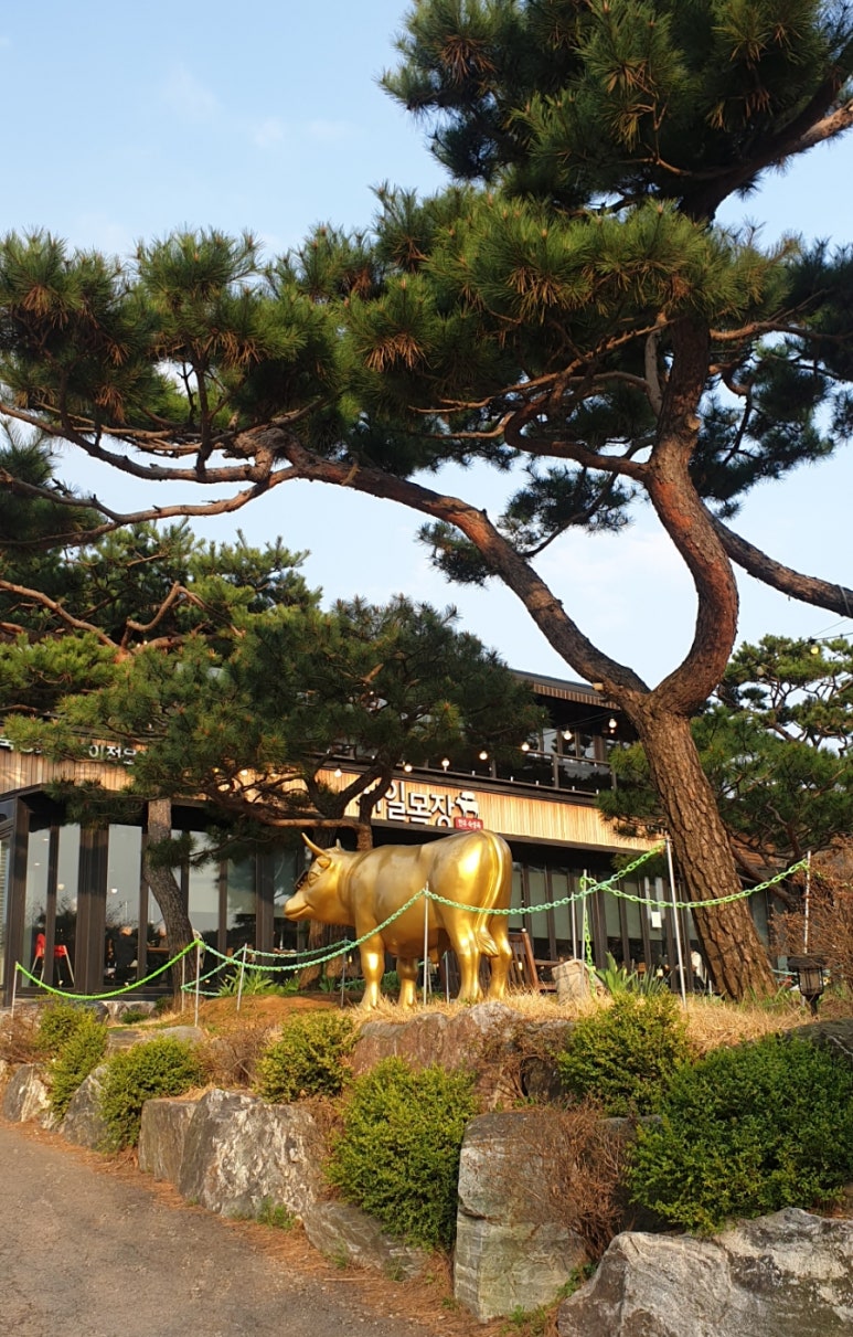 오후두시정육 이미지