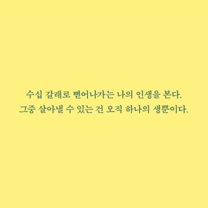 디플롯 이미지