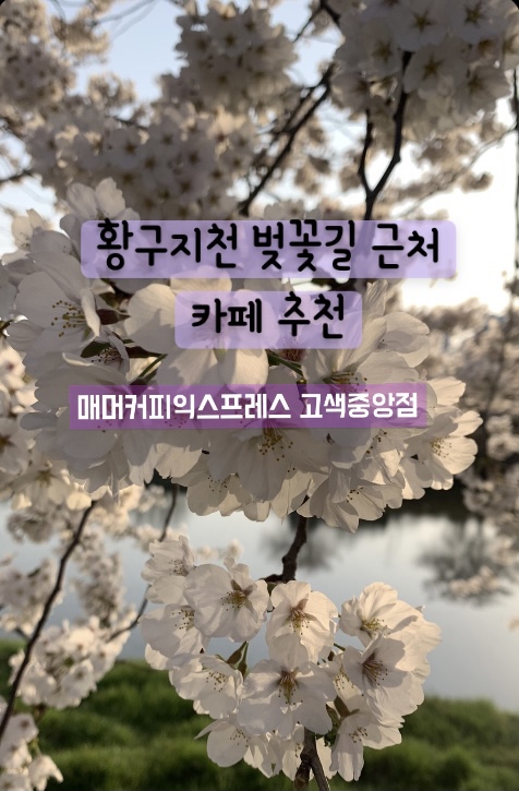 매머드익스프레스고색 이미지