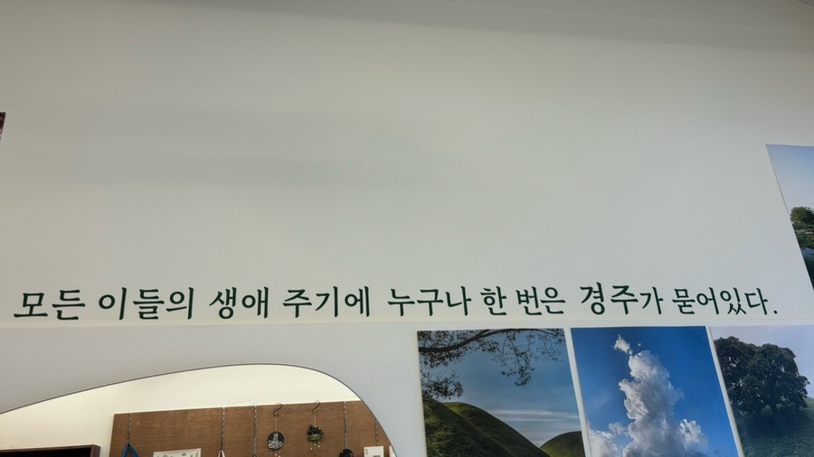 배리김치 이미지