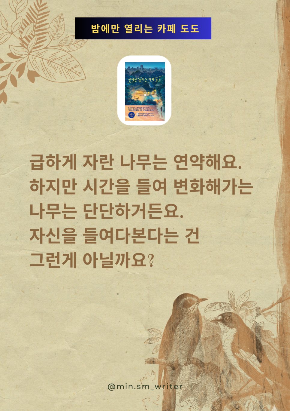 카페도도 이미지