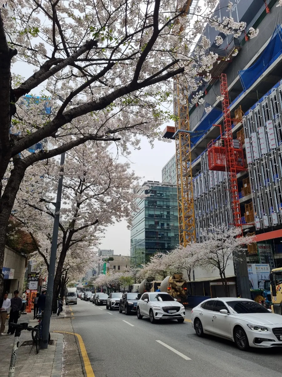 청목부페 이미지