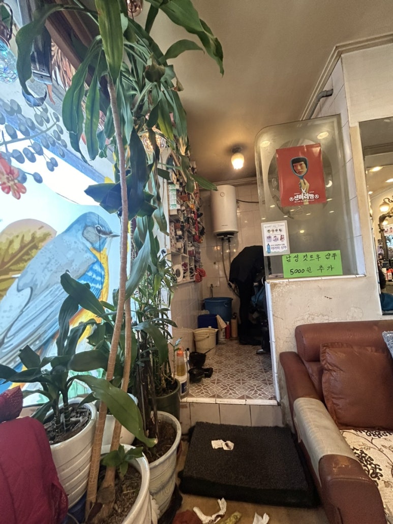 유머리방 이미지