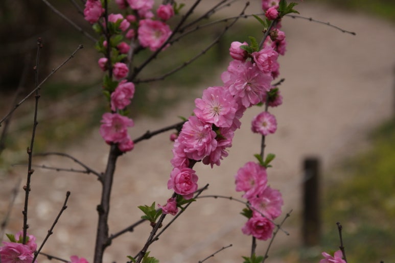 산림원 이미지
