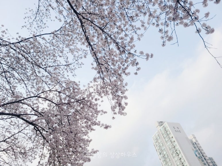 설빙명장점 이미지