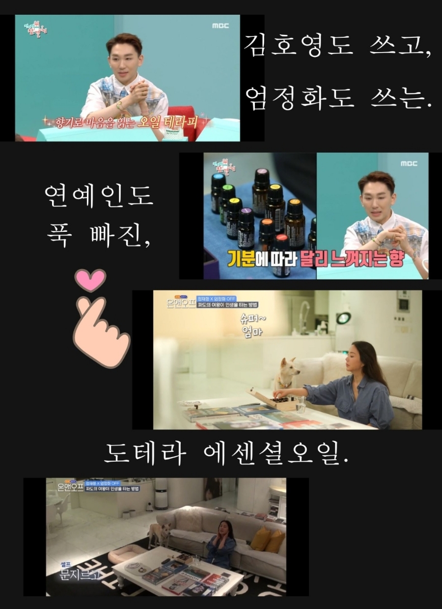 도테라아로마라운지 이미지