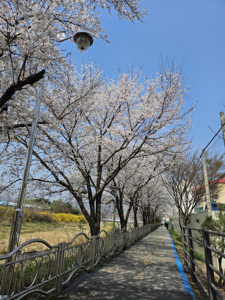 신미방 이미지
