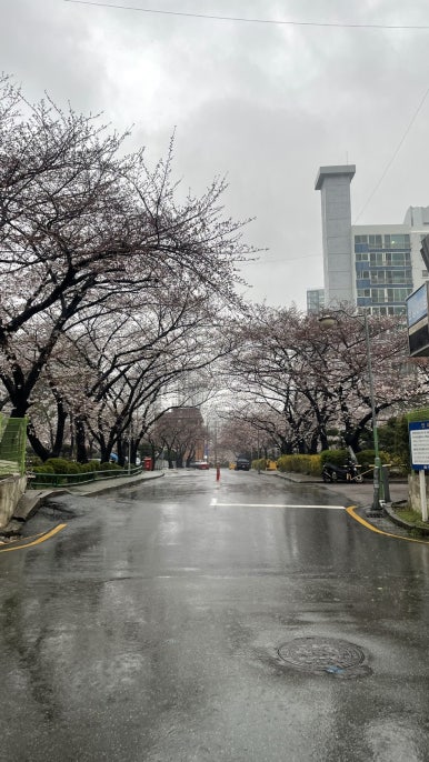 네일커밍 이미지