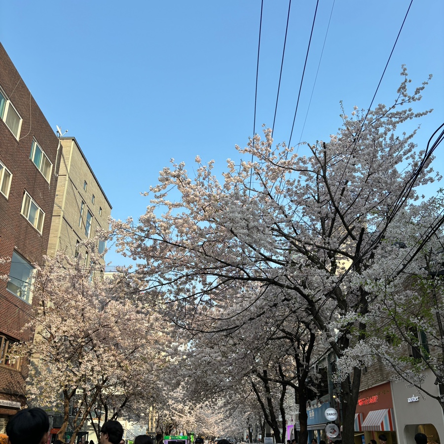 양화로6번길 이미지