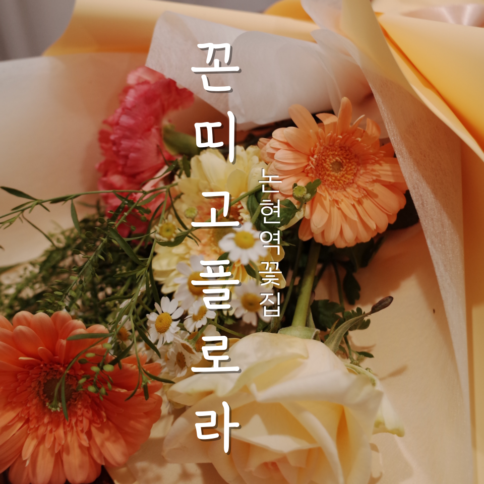 꼰띠고플로라 이미지
