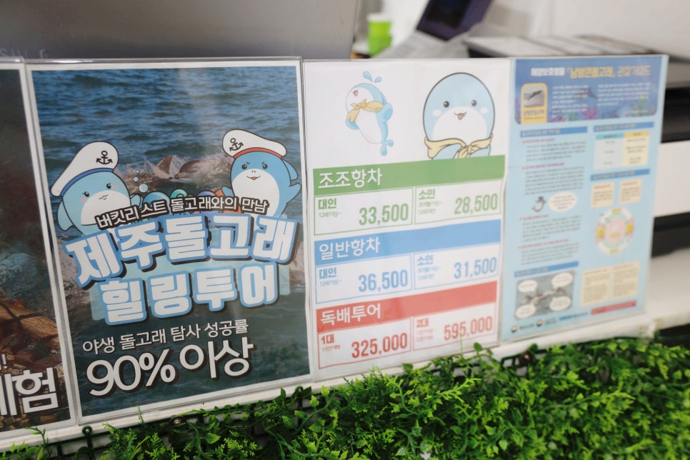 두근두근제주투어 이미지