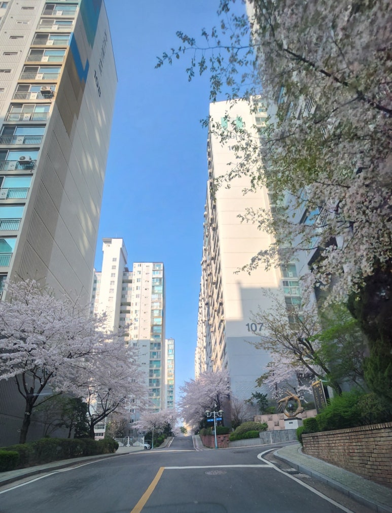 국대휴대폰성지 이미지