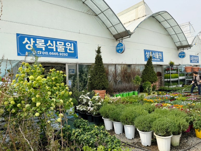 상록화원 이미지