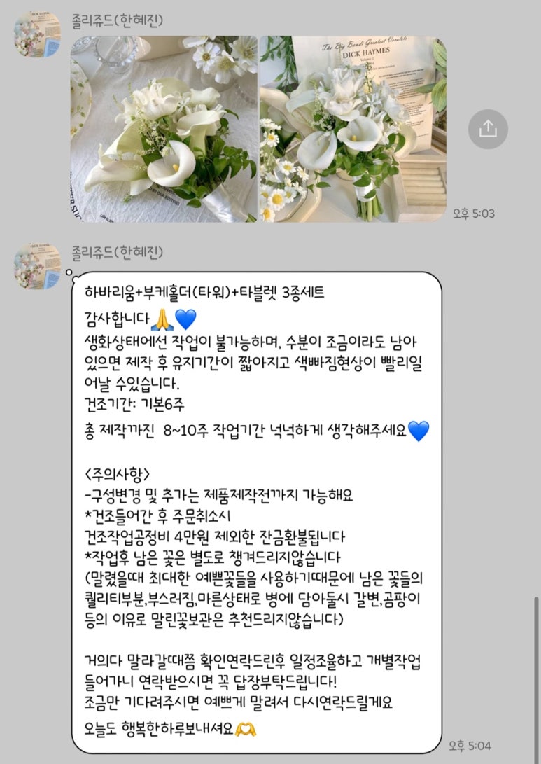 졸리쥬드 이미지