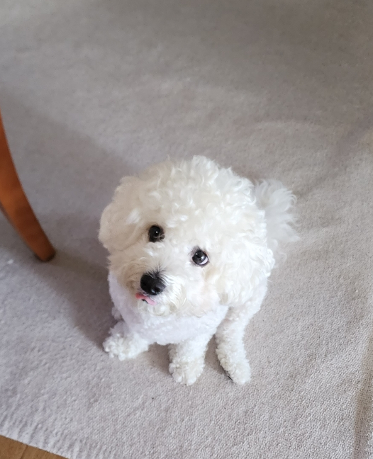 요커광교숲속 이미지