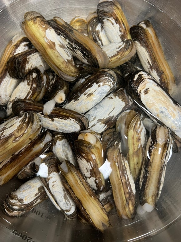 바다수산 이미지