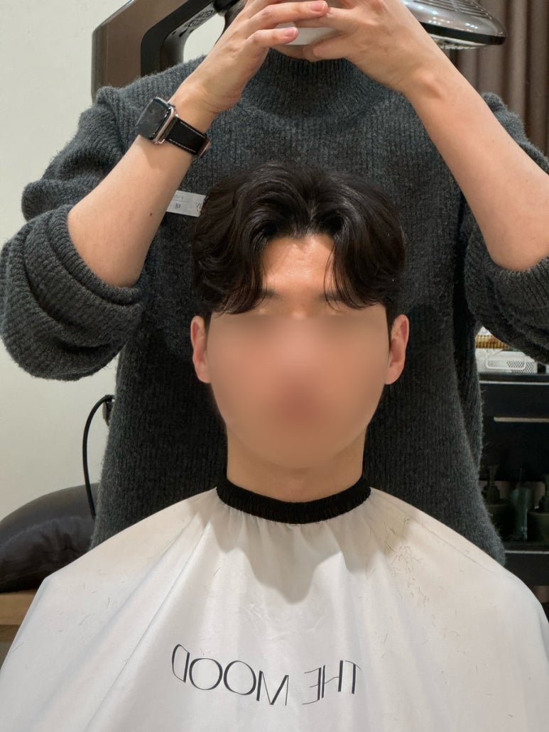 르무드헤어 이미지