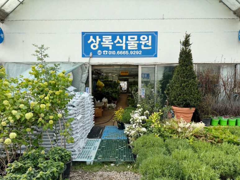 상록화원 이미지