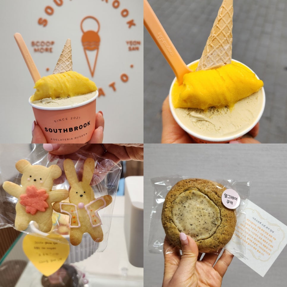 젤라떼리아사우스브룩연산 이미지