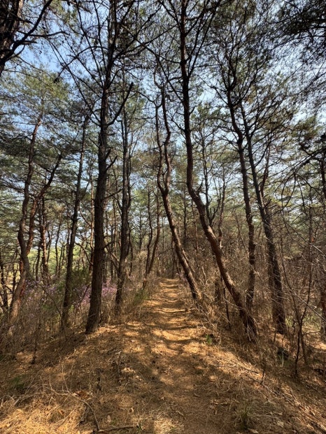 윤도예공방 이미지