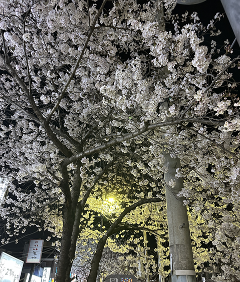 택스커피 이미지