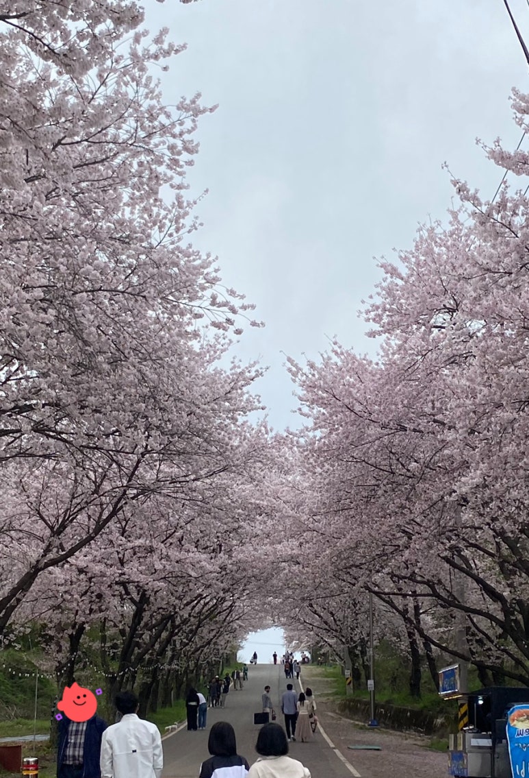 성덕수산 이미지